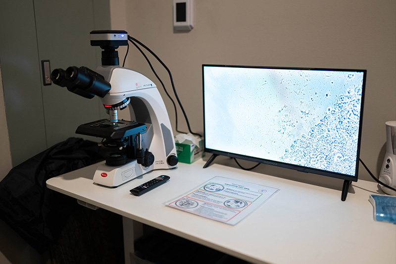 microscope